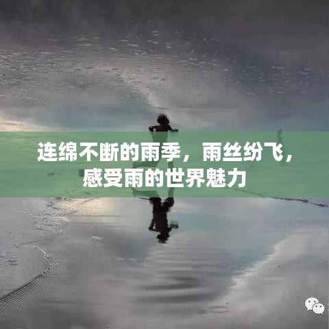 连绵不断的雨季，雨丝纷飞，感受雨的世界魅力