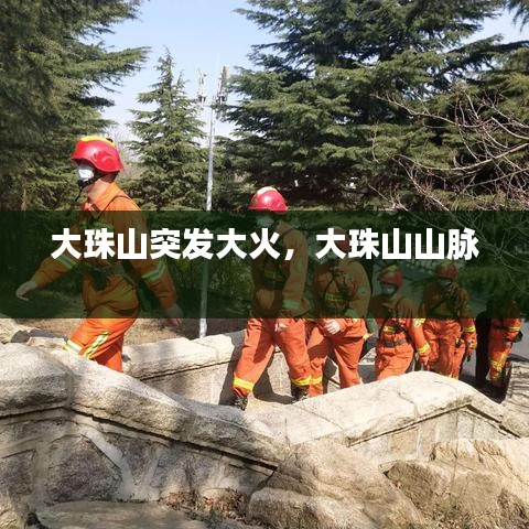 眼空四海 第3页