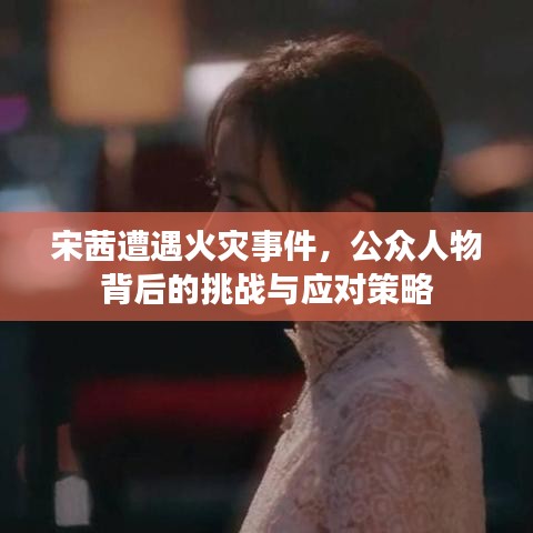 宋茜遭遇火灾事件，公众人物背后的挑战与应对策略