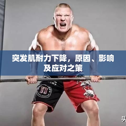 突发肌耐力下降，原因、影响及应对之策