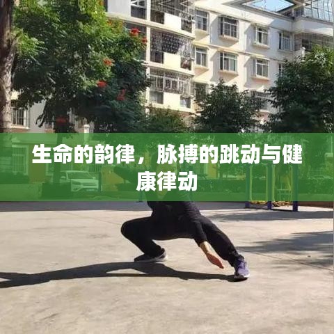 比翼鸟 第3页