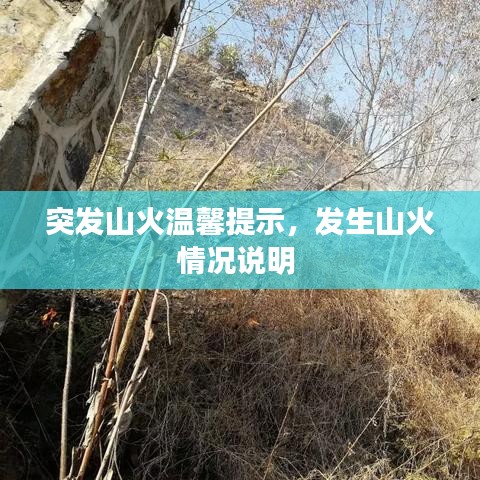 突发山火温馨提示，发生山火情况说明 