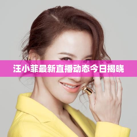 合作伙伴 第81页