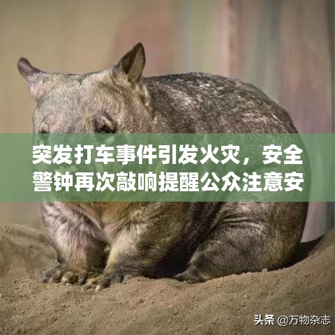 六鹢退飞 第2页
