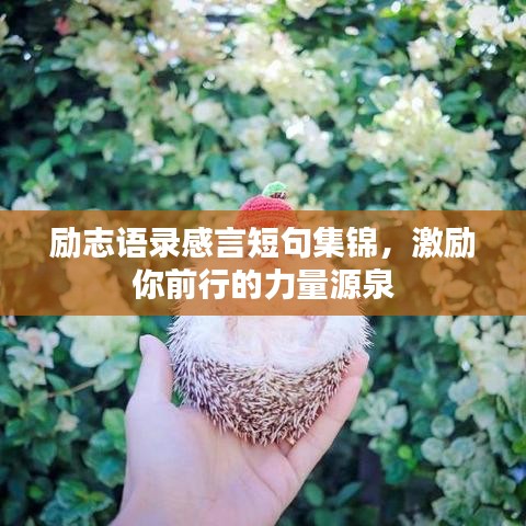 励志语录感言短句集锦，激励你前行的力量源泉
