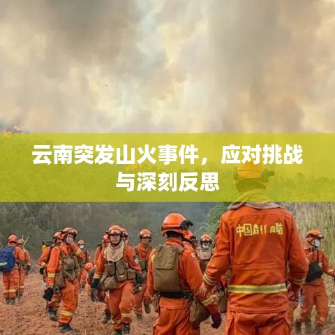 笼中之鸟 第2页