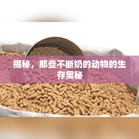 揭秘，那些不断奶的动物的生存奥秘