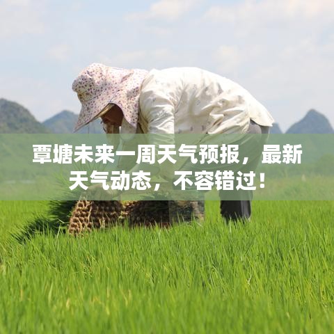 覃塘未来一周天气预报，最新天气动态，不容错过！