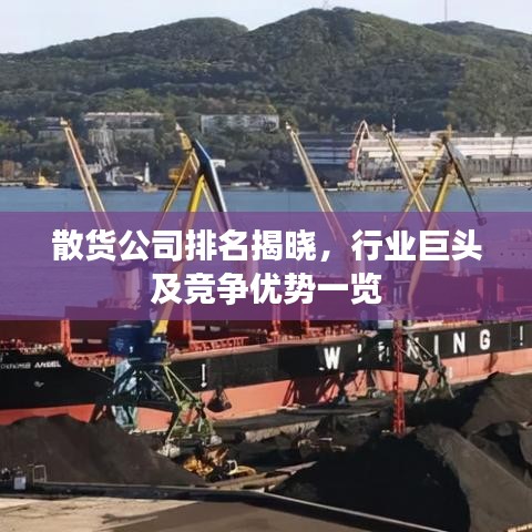散货公司排名揭晓，行业巨头及竞争优势一览