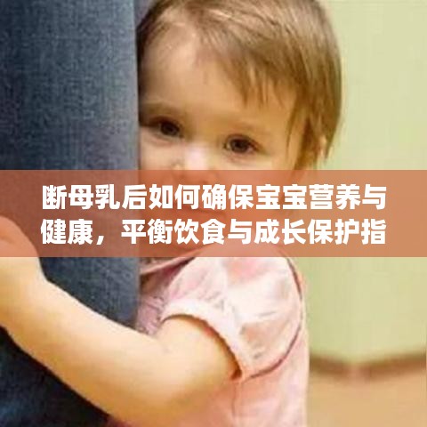 断母乳后如何确保宝宝营养与健康，平衡饮食与成长保护指南
