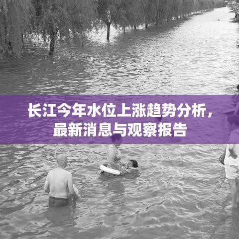 长江今年水位上涨趋势分析，最新消息与观察报告
