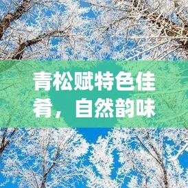 青松赋特色佳肴，自然韵味与文化底蕴的完美融合美食传奇