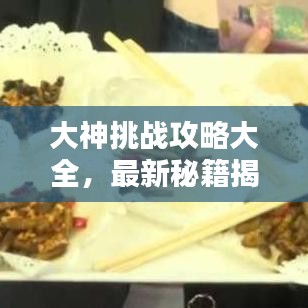 大神挑战攻略大全，最新秘籍揭秘