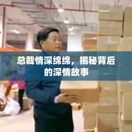 总裁情深绵绵，揭秘背后的深情故事