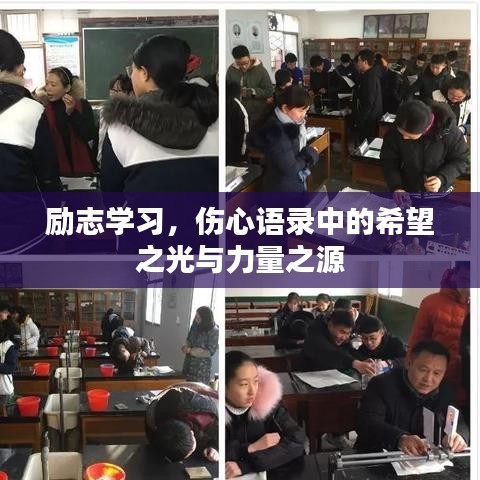 生张熟魏 第2页