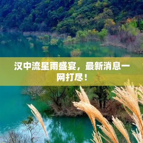 诚心诚意 第2页