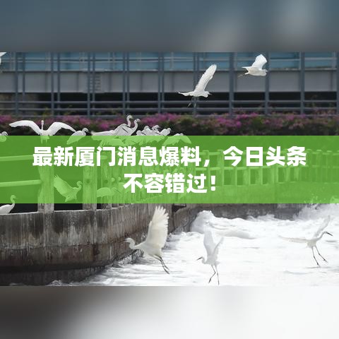 最新厦门消息爆料，今日头条不容错过！