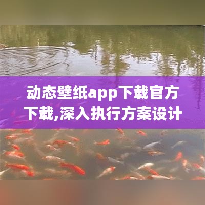 动态壁纸app下载官方下载,深入执行方案设计-XR_v3.146