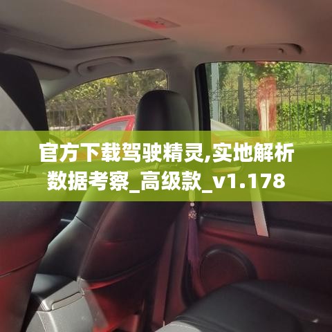 官方下载驾驶精灵,实地解析数据考察_高级款_v1.178