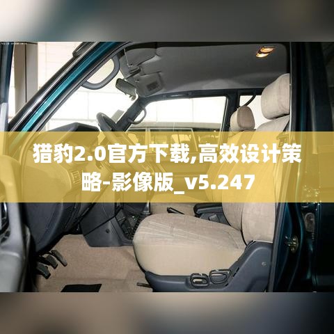 猎豹2.0官方下载,高效设计策略-影像版_v5.247