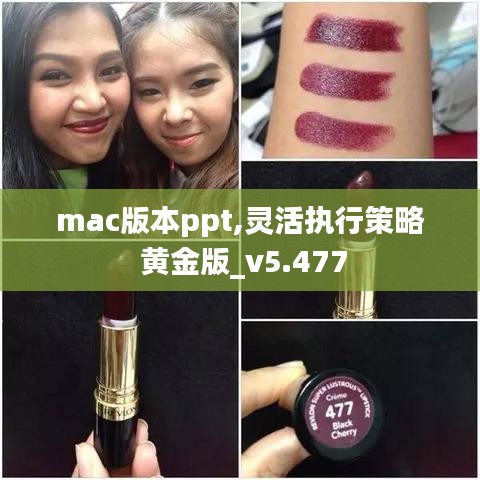 mac版本ppt,灵活执行策略 黄金版_v5.477