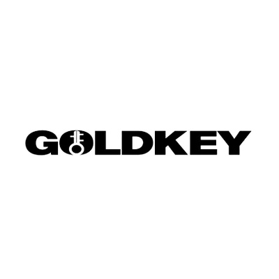 goldenkey官方下载,持续解析方案-复古款_v8.165