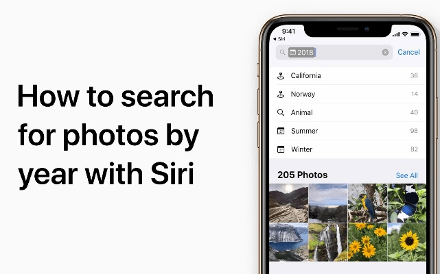 微相册官方下载,灵活解析执行&amp;苹果款_v3.198