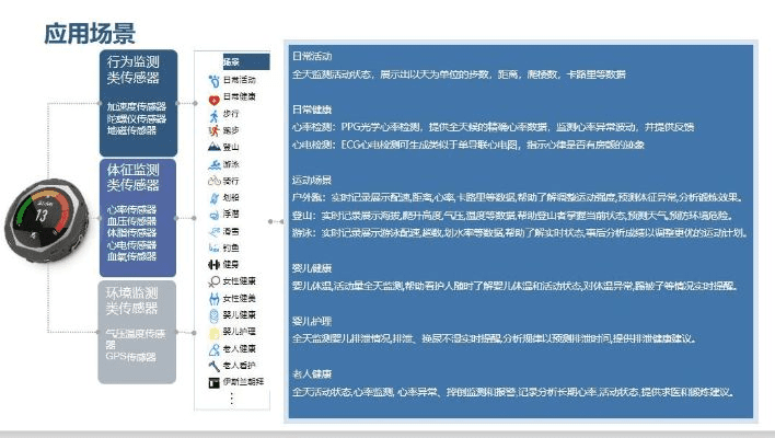 任意花版本,创新定义方案剖析_精英款_v5.420