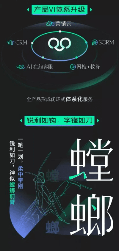 螳螂新版本,深入数据应用解析|专家版_v4.925