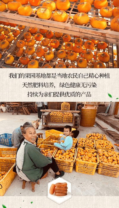 贵不期骄 第5页