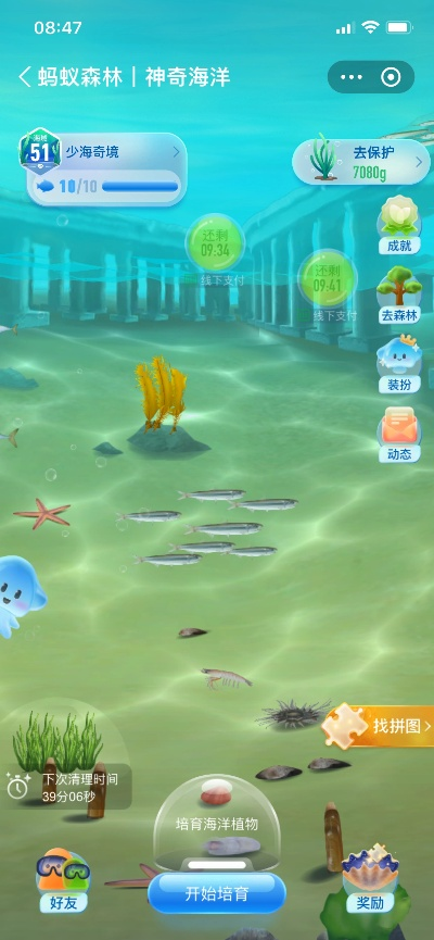 潮汐渔场官方下载,动态解析词汇-Windows_v6.888