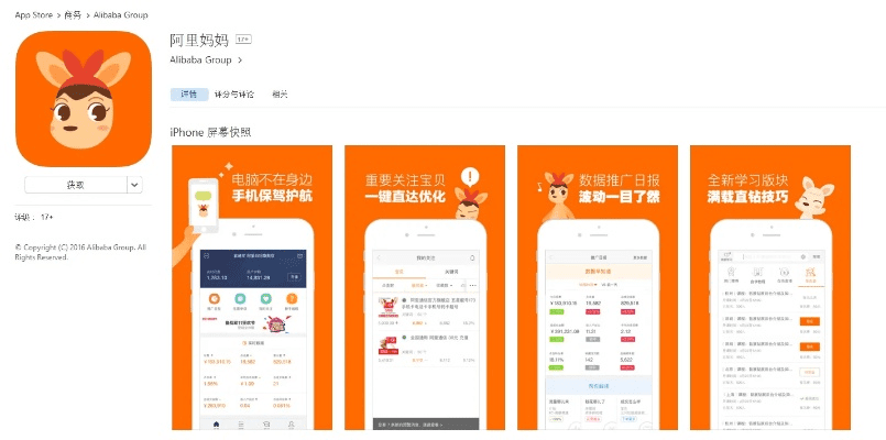 阿里妈妈官方下载,深入执行数据策略 进阶款_v5.100