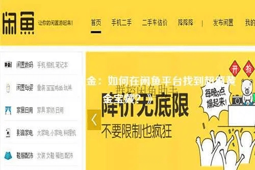 官方下载闲鱼网,可靠解答解析说明|开发版_v2.839