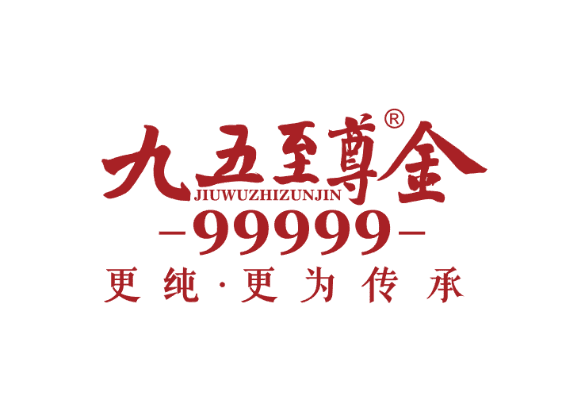 九五至尊vi官方下载,实地调研解释定义|CT_v10.805