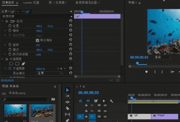眉目如画 第5页