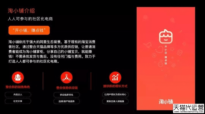 淘小铺新版本,实效设计方案_网页版1_v1.993