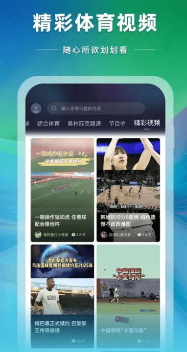 cctv 体育官方下载,现状分析说明_WP_v3.318