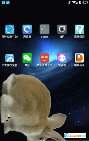 兔子桌面 官方下载,精细设计解析|静态版1_v6.199