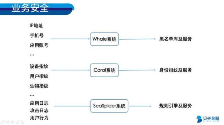 关于安全软件新版本蓝龙德，数据导向解析计划_tShop_v8.904的网络安全顾问介绍