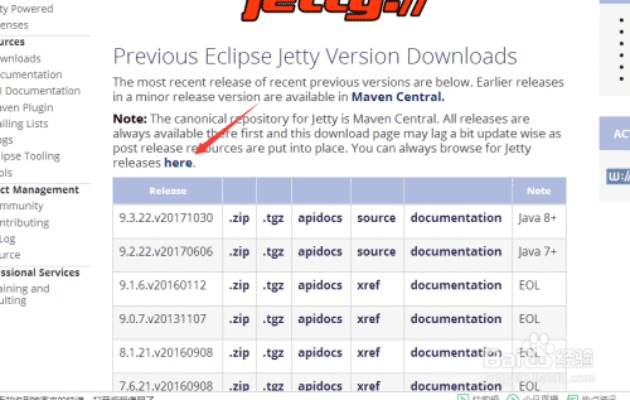 jetty 官方下载,深入解析策略数据-复刻版_v10.564
