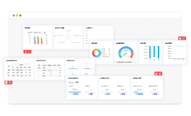 ss版本,数据驱动分析决策&超级版_v4.605