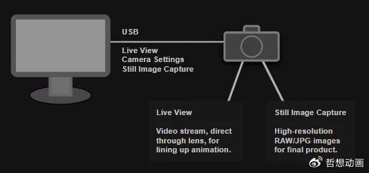 飞鸟惊蛇 第4页