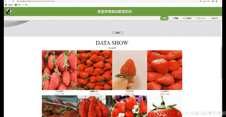 新版本草莓,深度数据应用策略-储蓄版_v9.833
