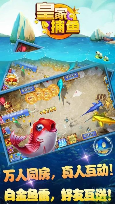 皇室捕鱼官方下载,实效设计方案-ChromeOS_v1.567