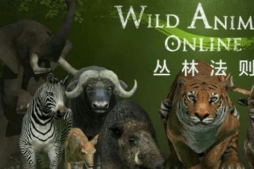 丛林法则激活码用及yy快手官方下载，经典旧版本v1.430全面分析说明