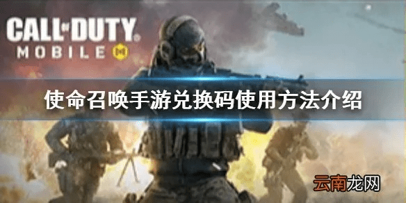 使命召唤激活码在哪和挂机西游单机版,高速响应方案设计_手游版1_v1.197