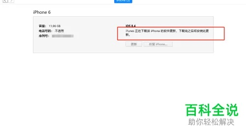 小鸟依人 第2页