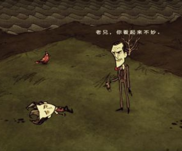 掌阅下载官方或饥荒单机版快速采集,最佳选择解析说明_HarmonyOS_v7.832